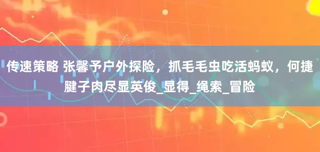传速策略 张馨予户外探险，抓毛毛虫吃活蚂蚁，何捷腱子肉尽显英俊_显得_绳索_冒险