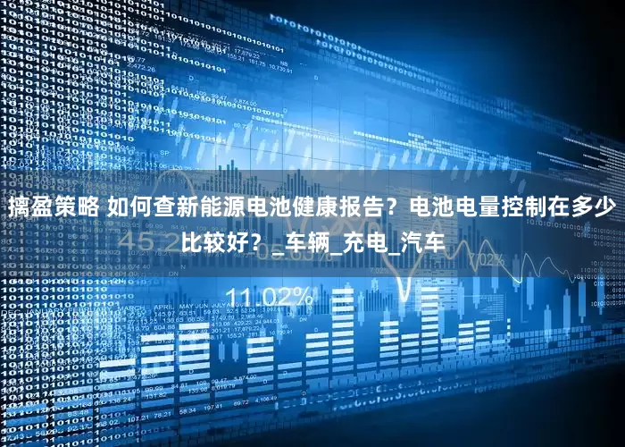 摛盈策略 如何查新能源电池健康报告？电池电量控制在多少比较好？_车辆_充电_汽车