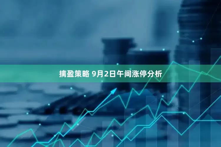 摛盈策略 9月2日午间涨停分析