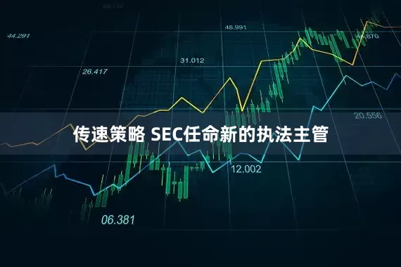 传速策略 SEC任命新的执法主管